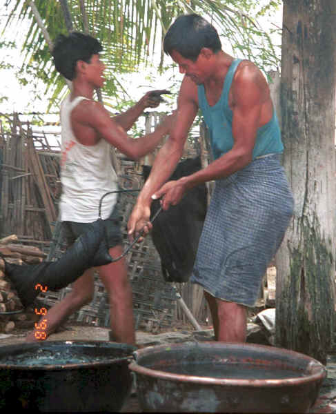 Wringing out the dyed hanks of cotton thread and taking them off to dry - Amarapura, Shan State 9809f34.jpg