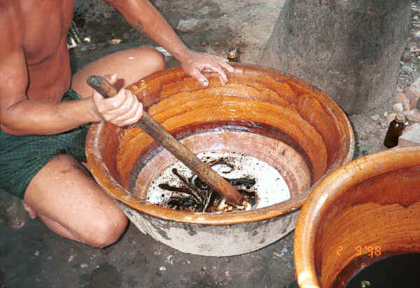 Adding oil to the water and sago mixture used to rinse the dyed cotton to stiffen and separate the threads - Amarapura,  Shan State 9809g02.jpg
