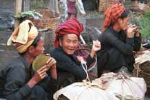 to 34K Jpeg 9809N04 Pa'O women at Nampan 5-day rotating market, Lake Inle, Shan State with their piles of thanapet leaf from cordia trees used for rolling around the local cheroots.