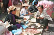 to 38K Jpeg 9809N20 Pa'O woman selling her produce at Nampan 5-day rotating market, Lake Inle, Shan State