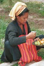 to 35K Jpeg 9809R33 Pa'O woman selling tomatoes at Ywama floating market, Lake Inle, Shan State