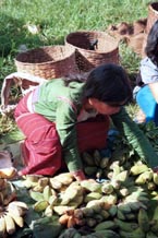 to Jpeg 90K Silver Palaung market traders at the rotating five day market in Kalaw, southwestern Shan State