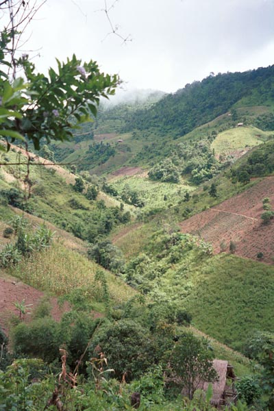 80K Jpeg Looking down into a narrow valley during the climb up the track to Pein Ne Bin village, a Silver Palaung village, near Kalaw in southwestern Shan State