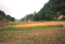 Jpeg 32K View up the valley from Bi Ke village, Mi Gu township, Zhenfeng county, Guizhou province 0010s02.jpg