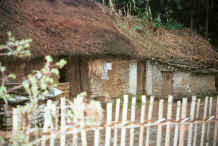 Jpeg 38K Thatched roof, stone walled house in Chang Tion village, Cheng Guan township, Puding county, Guizhou province 0010v33.jpg