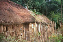 Jpeg 50K Thatched roof, stone walled house in Chang Tion village, Cheng Guan township, Puding county, Guizhou province 0010v34.jpg