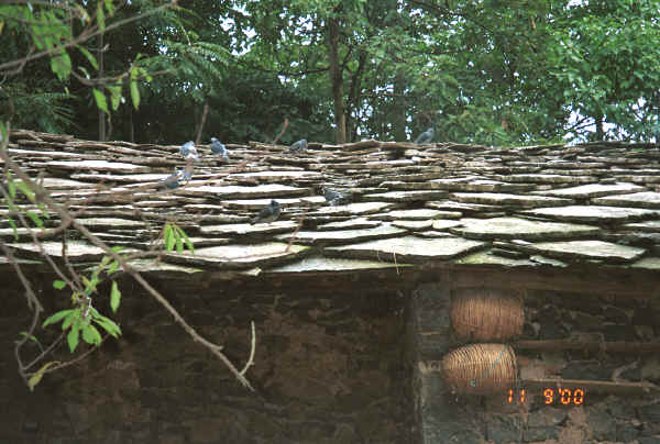 Pigeons on the slate roof of a stone house with their basket cotes below - Chang Tion village, Cheng Guan township, Puding county, Guizhou province 0010w02.jpg