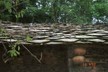 Jpeg 40K Pigeons on the slate roof of a stone house with their basket cotes below - Chang Tion village, Cheng Guan township, Puding county, Guizhou province 0010w02.jpg