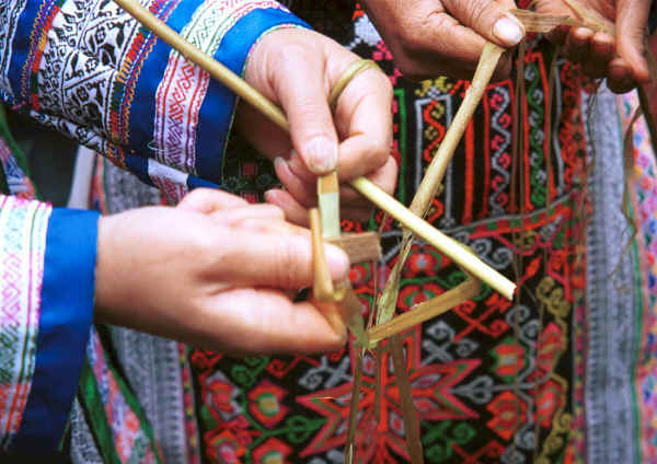Miao women demonstrating separating ramie fibre from under the bark having stripped them from the twig - Chang Tion village, Cheng Guan township, Puding county, Guizhou province 0010w22.jpg