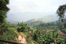 Jpeg 35K The view from Da Shu Jia village, Xin Zhou township, Longlin county, Guangxi province 0010i29.jpg