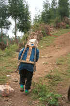 Jpeg 38K Woman setting off to work - Dai Lo village, Shi Zi township, Ping Ba county, Guizhou county 0010za12.jpg