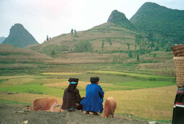 Jpeg 25K Side comb Miao couple resting after the market in De Wo township, Longlin County, Guangxi 0010g33.jpg (399200 bytes)