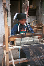 to Jpeg 55K  0110E07   Woman weaving an indigo plaid fabric on an upright heddle loom in Gan He village, Ya Rong township, Huishui county, Guizhou province, south-west China. The people living in this village are known as Qing Miao. There has been considerable intermarriage between Miao and Bouyei and the costume is very mixed.