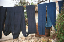 to Jpeg 50K  0110E11 Long lengths of fabric hanging out on the line to oxidise in the indigo dyeing process in Gan He village, Ya Rong township, Huishui county, Guizhou province, south-west China. The people living in this village are known as Qing Miao. There has been considerable intermarriage between Miao and Bouyei and the costume is very mixed.