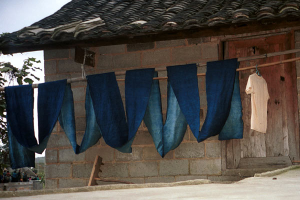 Jpeg 53K  0110E12 A long length of fabric hanging out on the line to oxidise in the indigo dyeing process in Gan He village, Ya Rong township, Huishui county, Guizhou province, south-west China. The people living in this village are known as Qing Miao. There has been considerable intermarriage between Miao and Bouyei and the costume is very mixed.