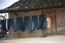 to Jpeg 53K  0110E12 A long length of fabric hanging out on the line to oxidise in the indigo dyeing process in Gan He village, Ya Rong township, Huishui county, Guizhou province, south-west China. The people living in this village are known as Qing Miao. There has been considerable intermarriage between Miao and Bouyei and the costume is very mixed.