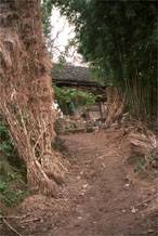 to Jpeg 53K  0110E13 Path through the village in Gan He village, Ya Rong township, Huishui county, Guizhou province, south-west China. The people living in this village are known as Qing Miao. There has been considerable intermarriage between Miao and Bouyei and the costume is very mixed. 