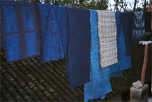 to Jpeg 49K  0110E24Various fabrics hanging on display - wax resist in two shades of indigo, plain fabric in different indigo shades and a length of plaid weaving in Gan He village, Ya Rong township, Huishui county, Guizhou province. This is a Qing Miao (or Bouyei/Miao as there has been much intermarriage and the costume is very mixed). 