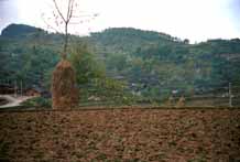 to Jpeg 51K 0111F25tNovember 2001 in the Geijia village of Ma Tang, Kaili City, Guizhou province 