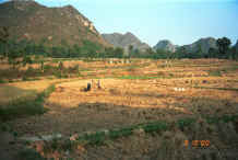 Jpeg 34K Evening scene at the time of the rice harvest near Pao Ma Cheng village, Teng Jiao township, Xingren country, Guizhou province 0010o23.jpg