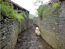 to Jpeg 54K  Songtao Miao Autonomous County, Tongren Prefecture, Eastern Guizhou Province