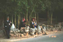 Jpeg 36K Sani park maintenance worker resting - Stone Forest, Shilin, Stone Forest county, Yunnan province 0010b04.jpg