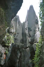 Jpeg 27K Stone 'tree' - Stone Forest, Shilin, Stone Forest county, Yunnan province 0010b22.jpg