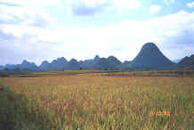 Jpeg 29K Countryside near Zuo Qi village, Min Gu township, Zhenfeng county, Guizhou province 0010p10.jpg
