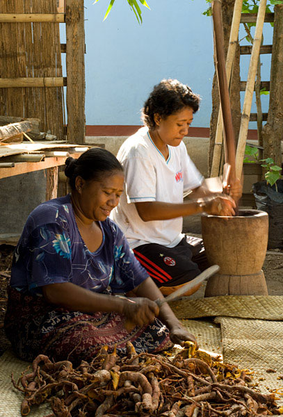 chopping and pounding Morinda root, Watublapi