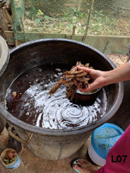 Showing us the dyeing process using sappan wood. We also saw them using stick lac.