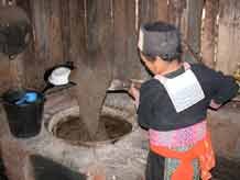 to Jpeg 52K White Hmong woman dyeing hemp in an indigo dye bath in the village of Ban Pha-nok-kok  3430