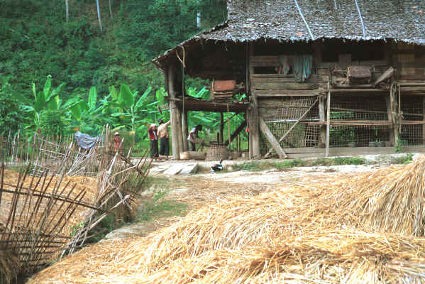 The elephant mahouts' lodgings near Mae Hong Son, northern Thailand 8812j22.jpg
