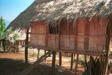 to Jpeg 40K U Lo-Akha house on stilts in a village in the hills around Chiang Rai 8812p17.jpg