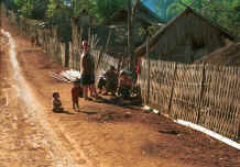 to Jpeg 37K U Lo-Akha in a village in the hills around Chiang Rai 8812p25.jpg