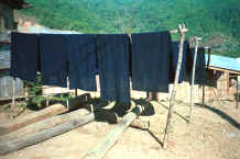 to Jpeg 30K Lengths of indigo dyed fabric drying in the sun in a Yao village in the hills around Chiang Rai 8812q07.jpg