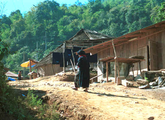 Yao old woman walking up into the village in the hills around Chiang Rai in Northern Thailand 8812q25.jpg