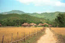 to Jpeg 27K Looking across to the beautifully situated Black Thai village at the head of the valley where Dien Bien Phu is situated.  Several photos in the Photo gallery were taken in this village. 9510D34.JPG