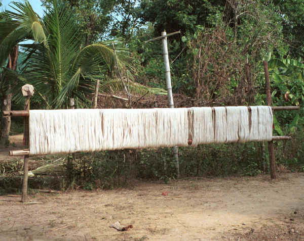 Jpeg 46K Long lengths of cotton thread ready for weaving or dying outside Black Thai houses near Dien Bien Phu, Lai Chao Province 9510E05.JPG