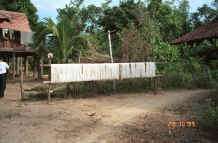 to Jpeg 46K Long lengths of cotton thread ready for weaving or dying outside Black Thai houses near Dien Bien Phu, Lai Chao Province 9510E05.JPG