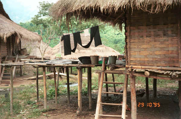 Jpeg 40K Cloth - probably cotton - hanging out to dry and oxidise after being dyed in indigo.  Black Thai village near Dien Bien Phu, Lai Chao Province 9510F22.JPG