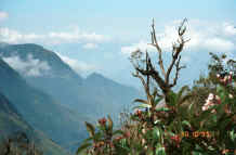 to Jpeg 26K Climbing over the pass near Fan Si Peak in the mountains to the north of Sa Pa 9510H18.JPG