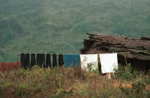 to Jpeg 28K Black Hmong fabric hanging on the line in the hills around Sa Pa, Lao Cai Province.  The dark narrow weave strips will be hand woven indigo dyed cotton or hemp drying and oxidising after one of the many dippings it will have had in the indigo dye bath. 9510J03.JPG
