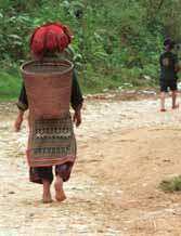 Jpeg 65K Dzao 4 backview of woman and boy walking to market