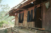 to Jpeg 30K Indigo dyed hemp cloth hanging out to dry in a Green Hmong village in Lai Chau province, northern Vietnam 9510g03.jpg (366114 bytes)