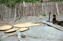 to Jpeg 42K Spreading the rice out to dry in the sun in a Red Hmong village  Lai Chau province, northern Vietnam 9510g08.jpg