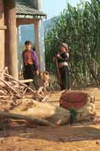 to Jpeg 53K 9510G23 Young Flowery Hmong male with an older Flowery Hmong woman.  It appears that she is not wearing a short batik skirt but a longer indigo dyed wrap around one.  Outside a house in small road-side village near Phong Tho (Phong Thanh) in Lai Chau Province.