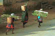 to Jpeg 45K 9510G36  Hmong, possibly Flowery Hmong, walking home in the early evening through the town of Phong Tho (Phong Thanh) in Lai Chau Province with their burden of cut bamboo.