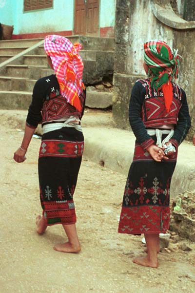 43K Jpeg 9510I15 Two Phula, Xa Pho girls in Sa Pa, Lao Cai Province, north west Vietnam. Note the wool embroidery on the blouse and skirts with Jacob's tear seeds on the blouses. 