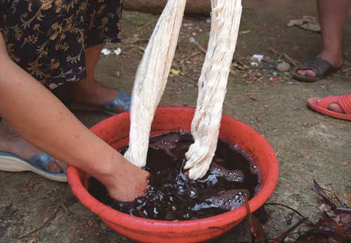 Jpg 35k mc6 Thu lowers the natural cotton thread into the prepared dyebath. The Mai Chau valley, Hoa Binh Province, northern Viet Nam